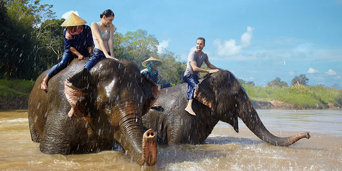 Exclusive Friends & Family Rate and Elephant Adventure at Anantara Golden Triangle Elephant Camp & Resort