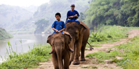 Become an elephant mahout in the legendary Golden Triangle