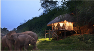 Anantara Golden Triangle Environmental Awards