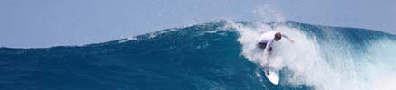 Surf’s Up in Paradise