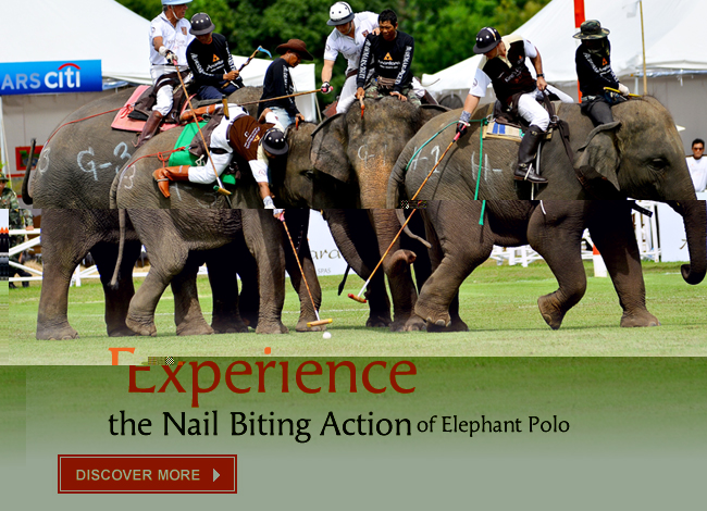 Experience the Nail Biting Action of Elephant Polo